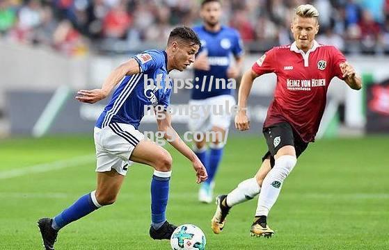 汉堡主场失利德甲保级之路再添波澜
