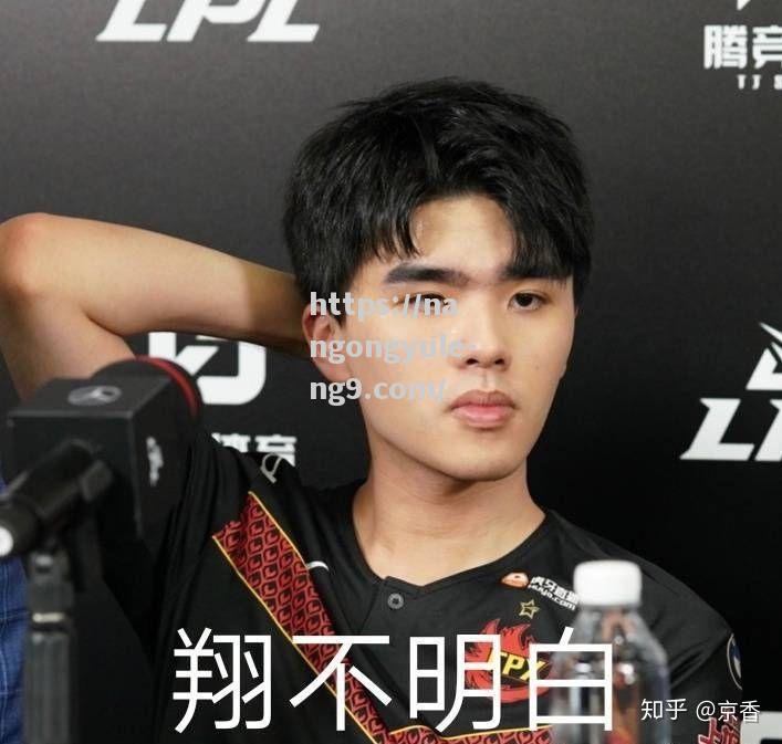 南宫娱乐-亨利比奥纳尔：德甲之星，世界扶翔的王者