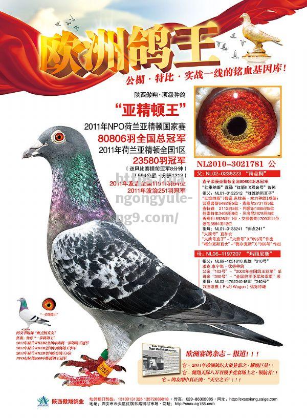 亨利比奥纳尔：德甲之星，世界扶翔的王者