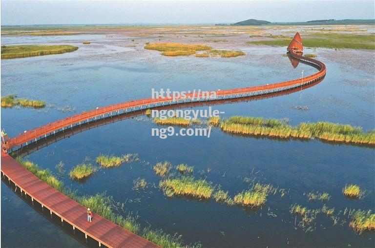 南宫娱乐-巴西鹈鹕数量急剧增加生态专家称恢复环境生态效应显著_