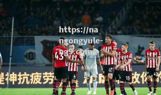 南宫娱乐-华莱领衔南安普顿主场大胜水晶宫