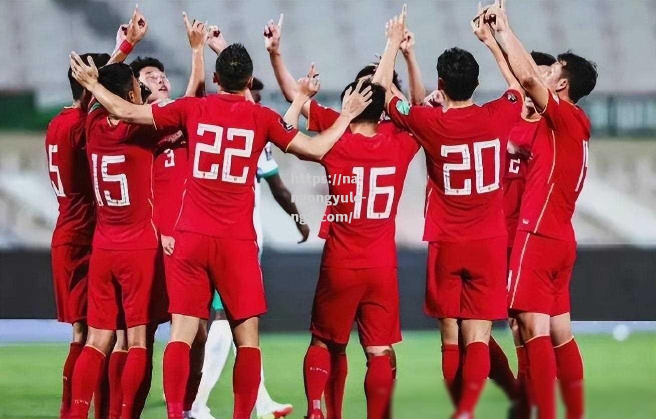 国内职业足球比赛球队效力非凡