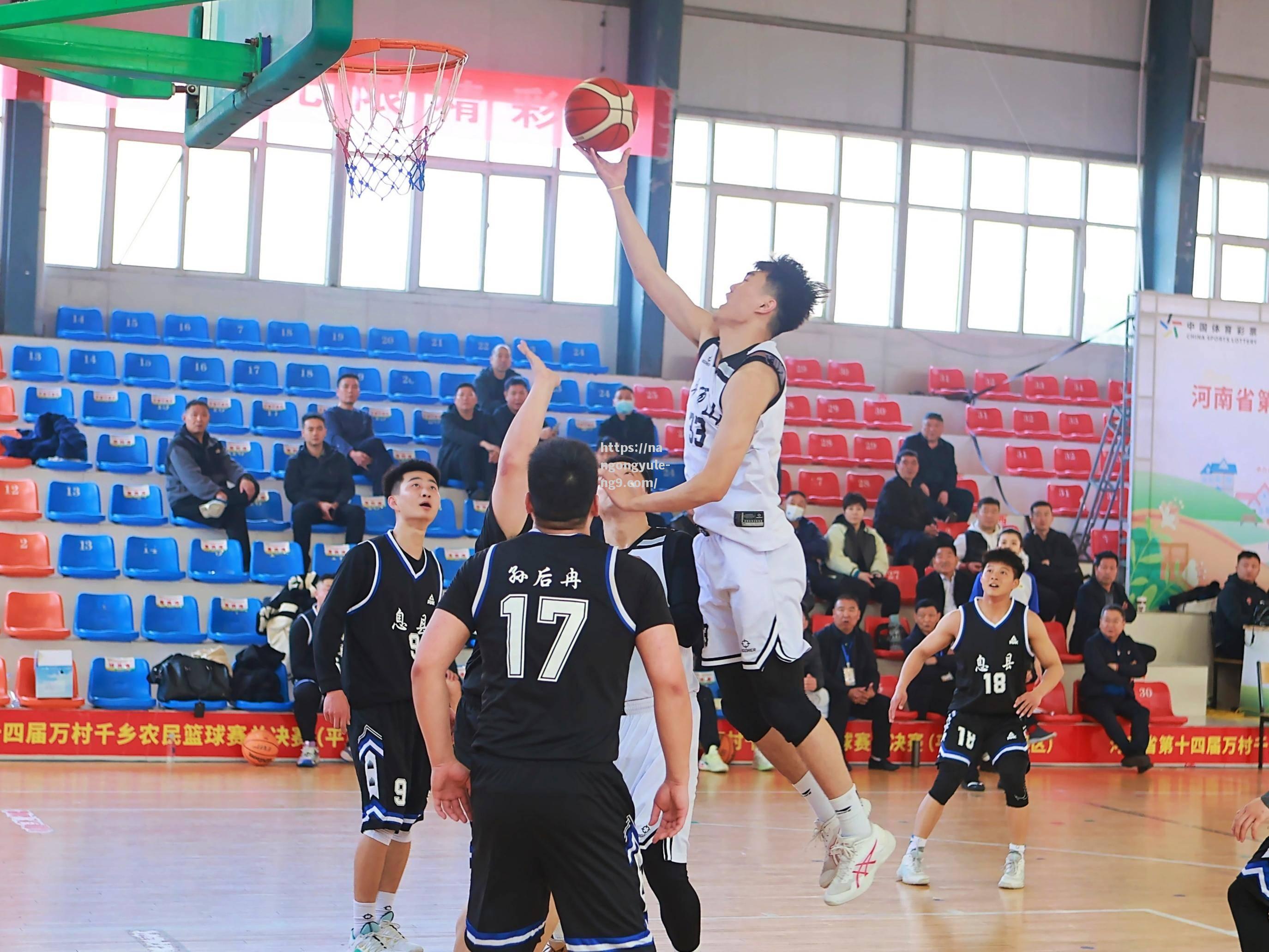 职业篮球联赛正在火热进行中