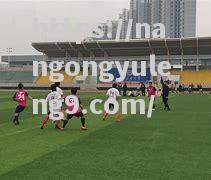 职业足球聚焦赛场动态，球队间对决搏斗情势白热化