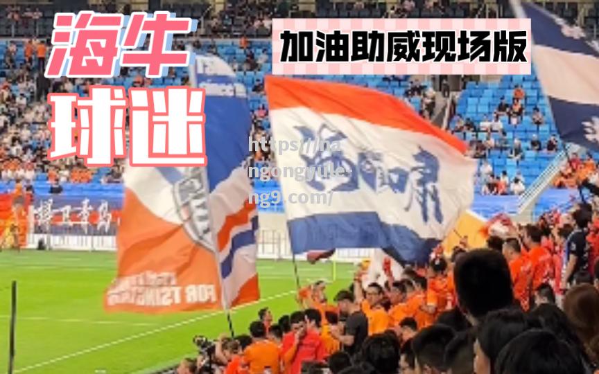 斯图加特队成功逆转，球迷热情庆祝胜利