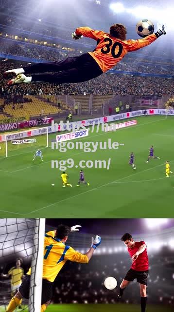默契配合助攻互相协作，球队实力提升