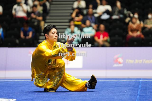 南宫娱乐-武术男子太极拳：中国选手夺冠